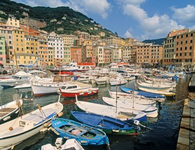 View of the Town and Fishing Boats in Harbour by Unbekannt Unbekannt